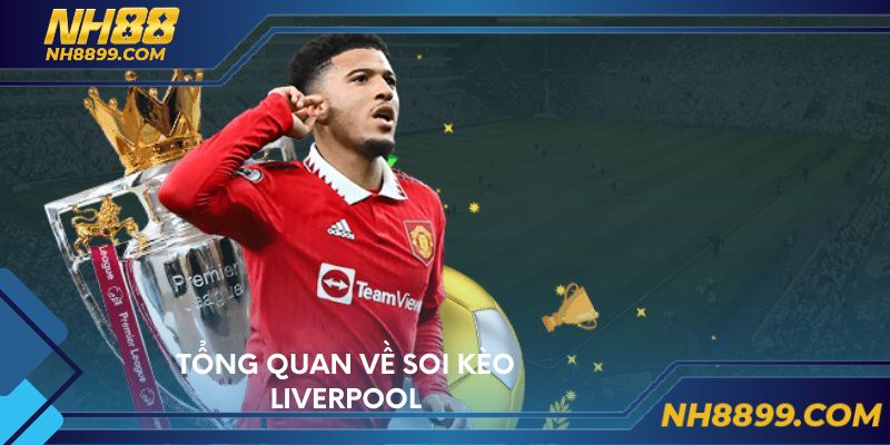 Tổng quan về soi kèo Liverpool