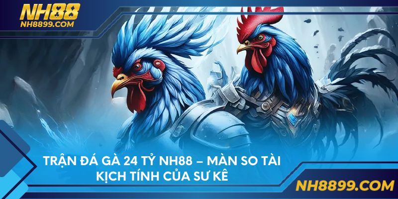 Trận Đá Gà 24 Tỷ NH88 – Màn So Tài Kịch Tính Của Sư Kê